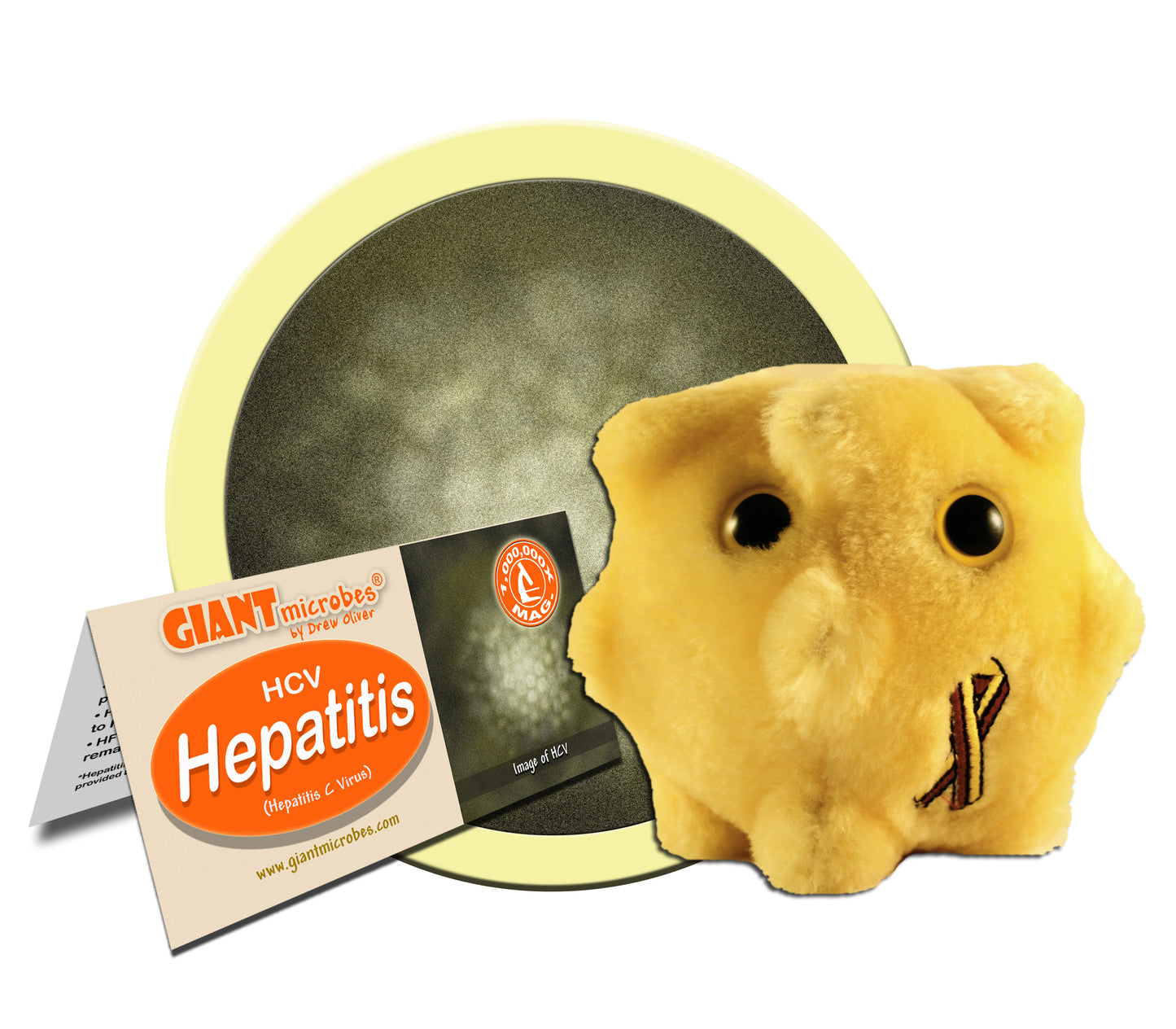 Hepatitis (Hepatitis Virus)