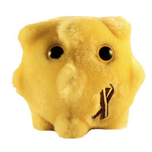 Hepatitis (Hepatitis Virus)