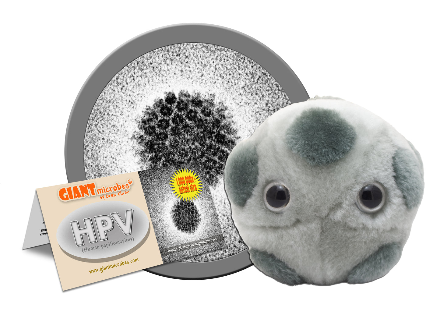 HPV (Human Papillomavirus)