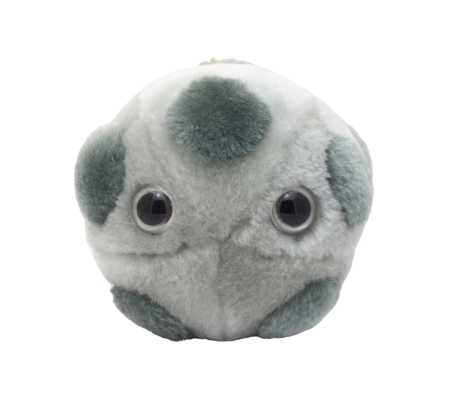 HPV (Human Papillomavirus)