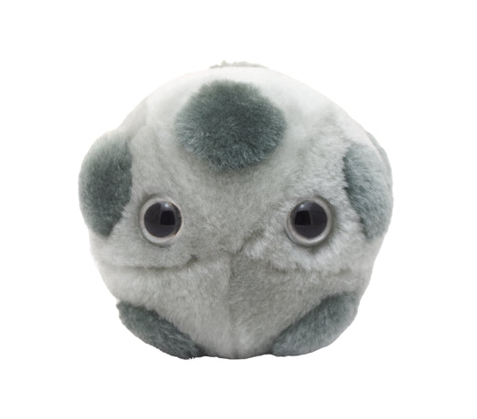 HPV (Human Papillomavirus)