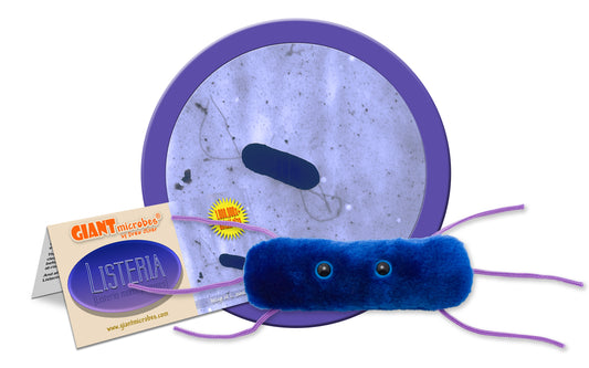 Listeria (Listeria Monocytogenes)