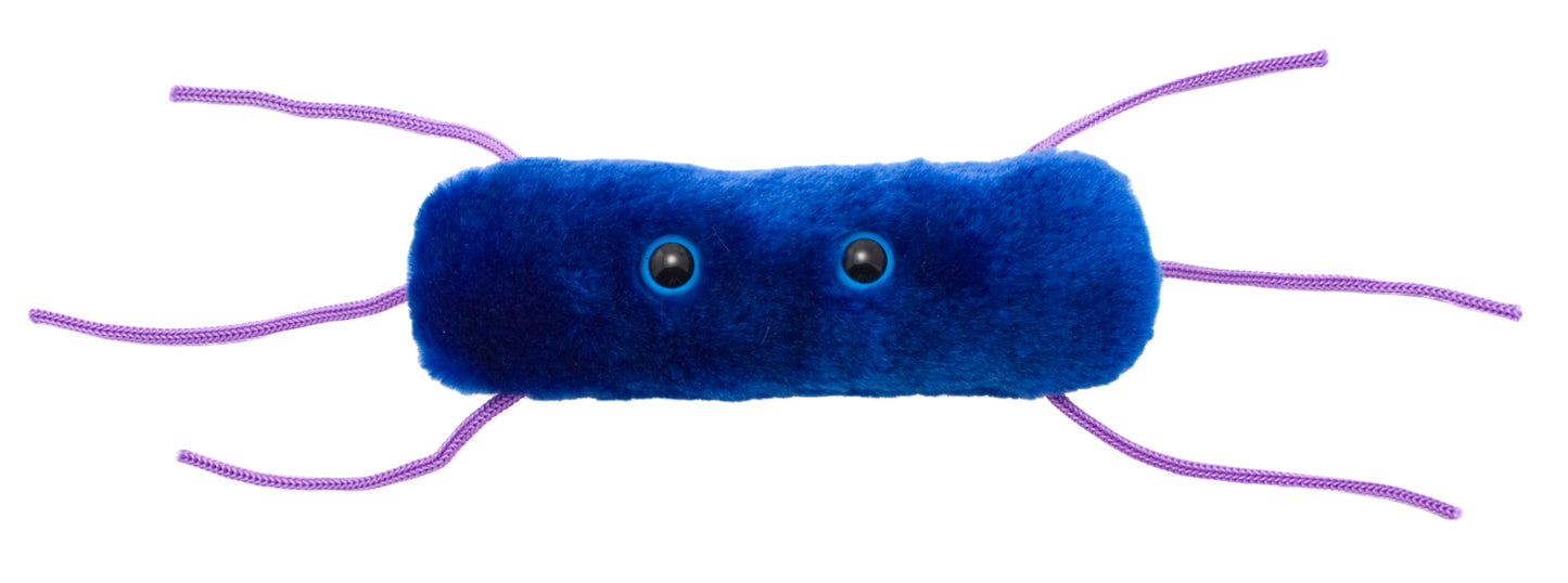 Listeria (Listeria Monocytogenes)