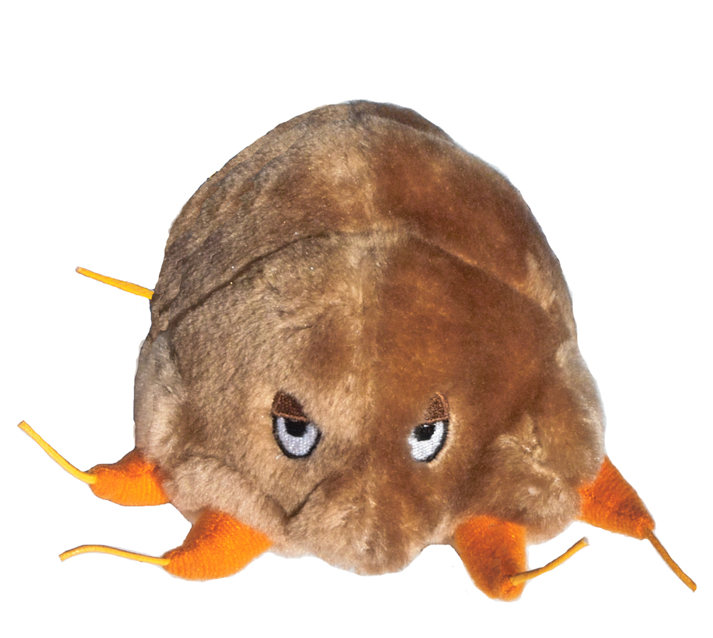Mange (Sarcoptes Scabiei)