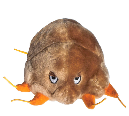 Mange (Sarcoptes Scabiei)