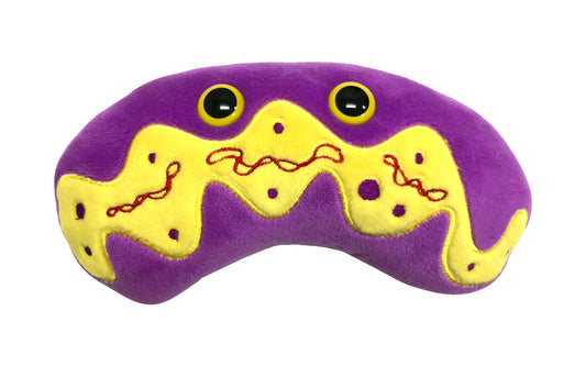 Mitochondria