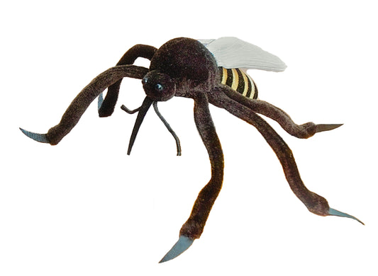 Mosquito (Culex Pipiens)