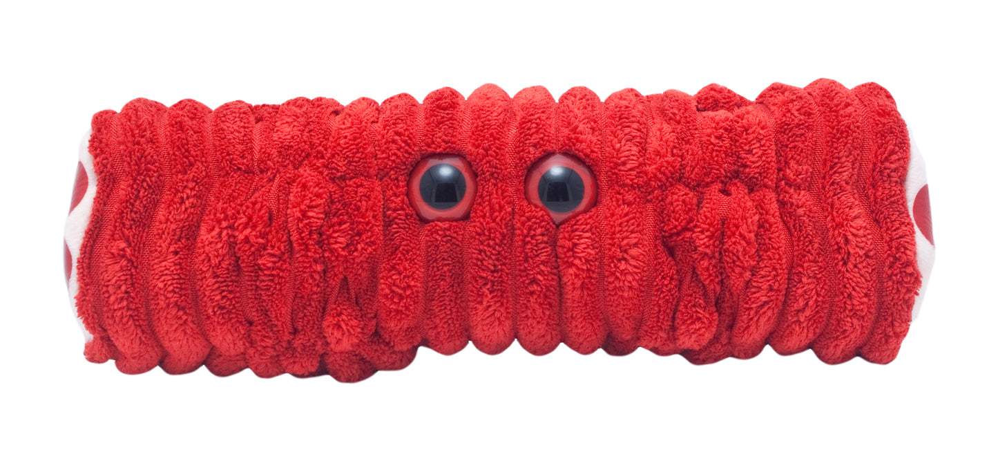 Muscle Cell (extendable) (Myocyte)