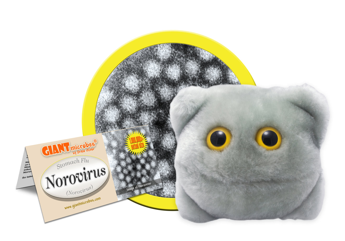 Norovirus (Norovirus)