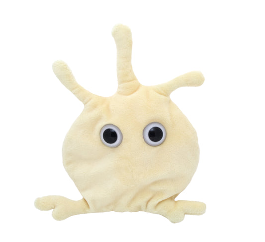 Platelet (Thrombocyte)
