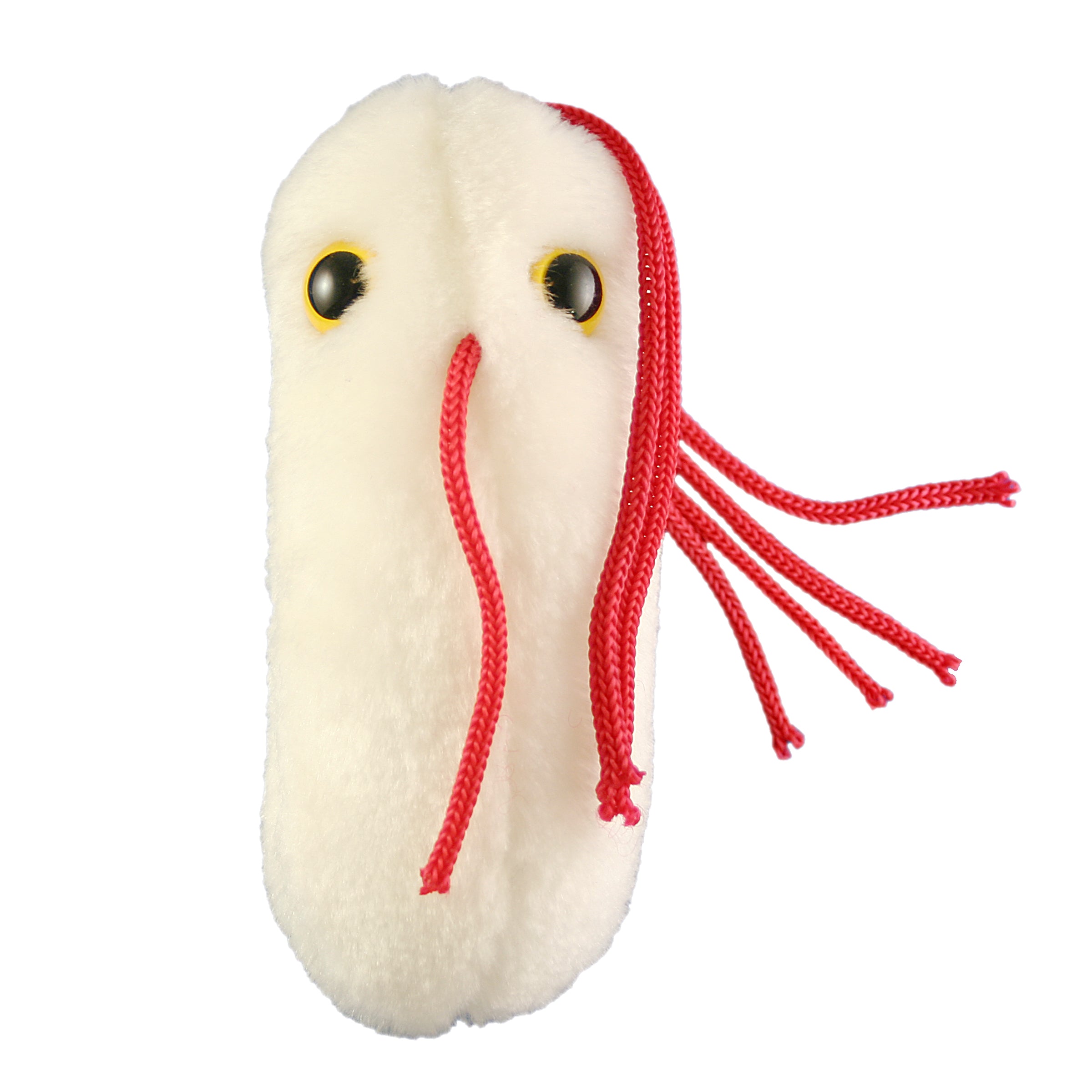 giant microbes salmonella