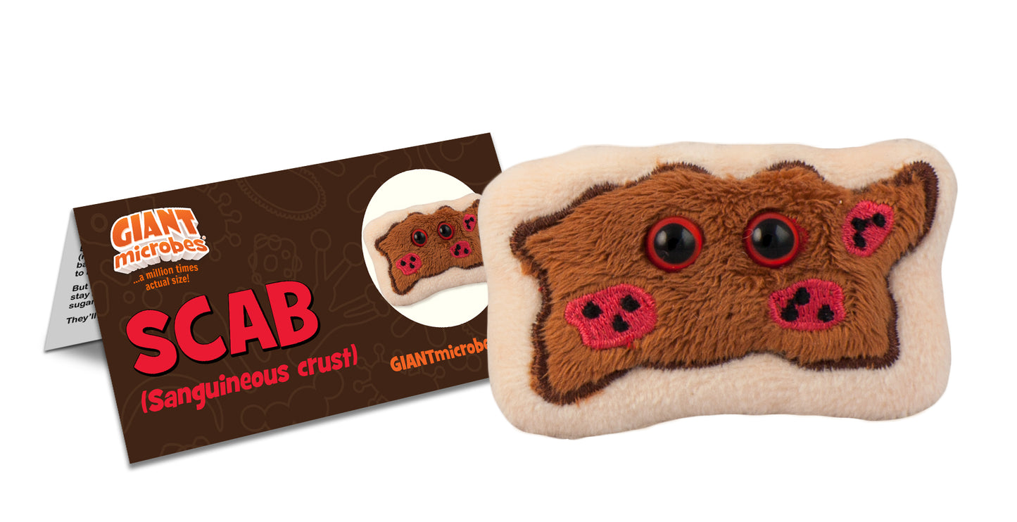 Scab (Sanguineous Crust)