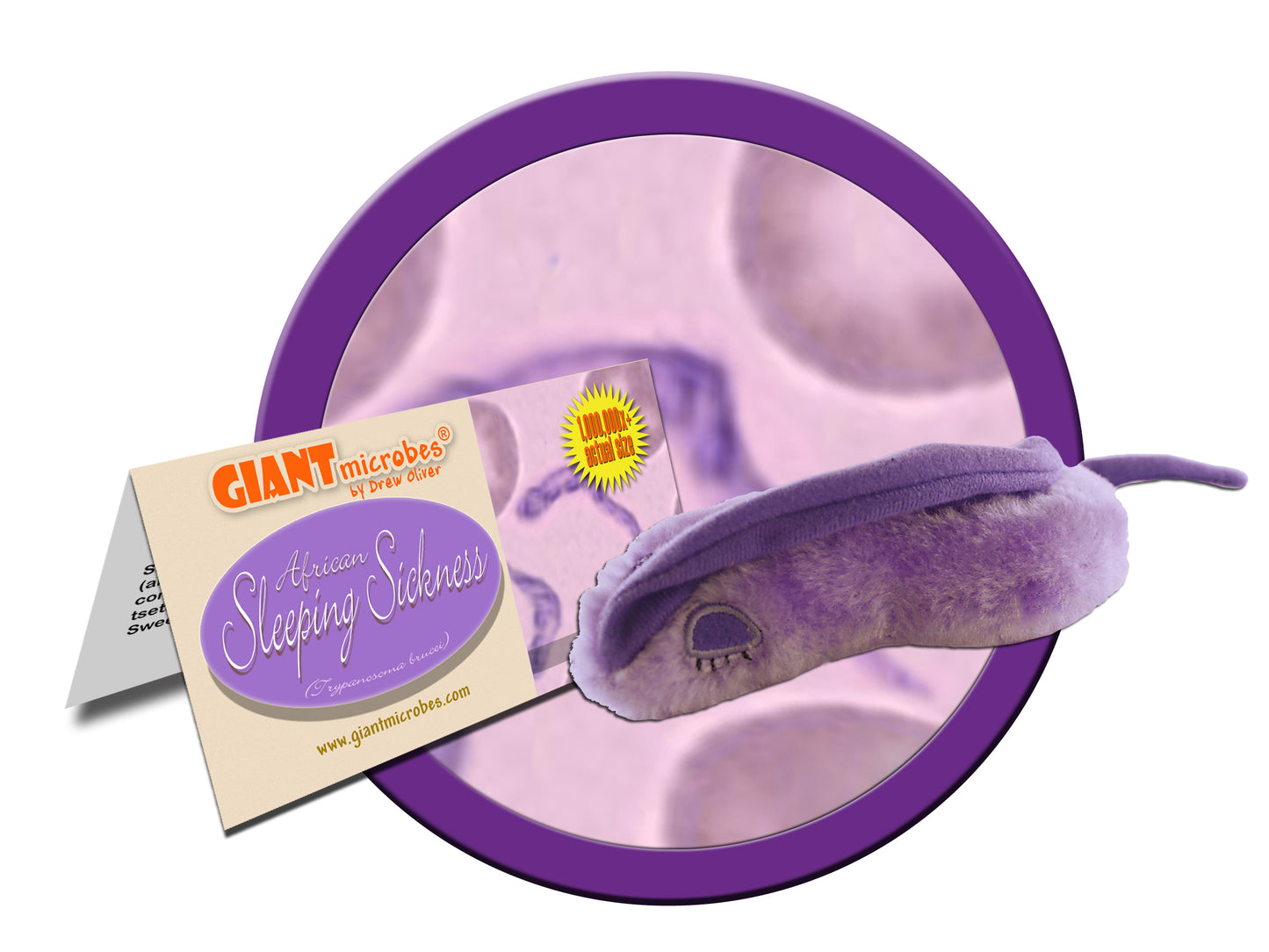 Sleeping Sickness (Trypanosoma Brucei)