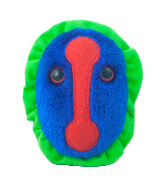 Smallpox (Variola Virus)