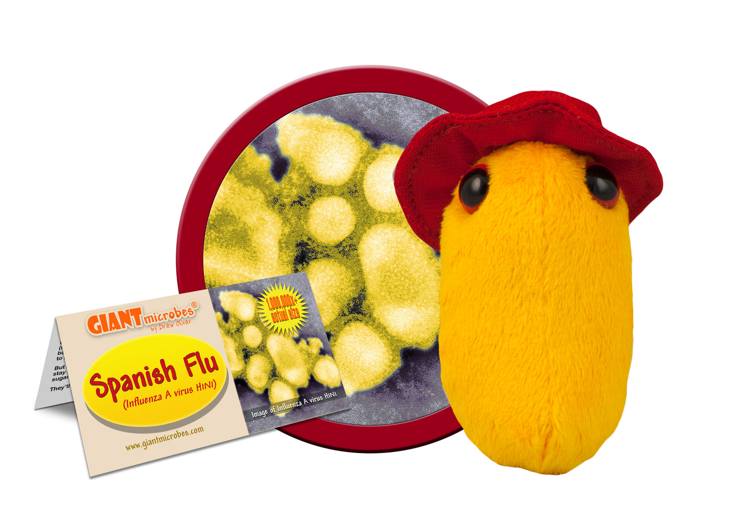 Spanish Flu (Influenza A Virus H1N1)