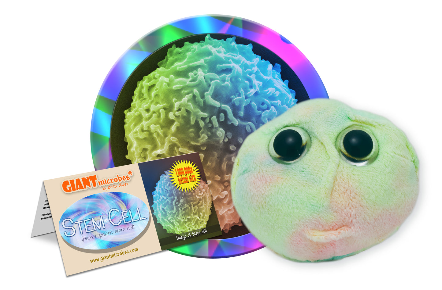 Stem Cell (Stem Cell)