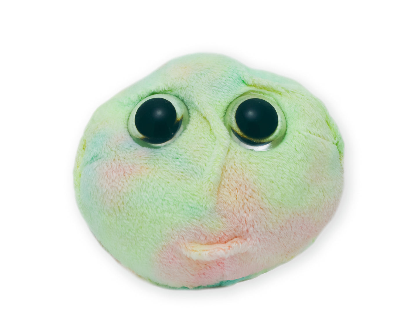 Stem Cell (Stem Cell)