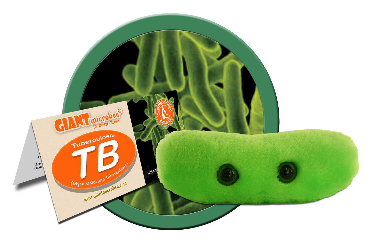 TB  (Tuberculosis)