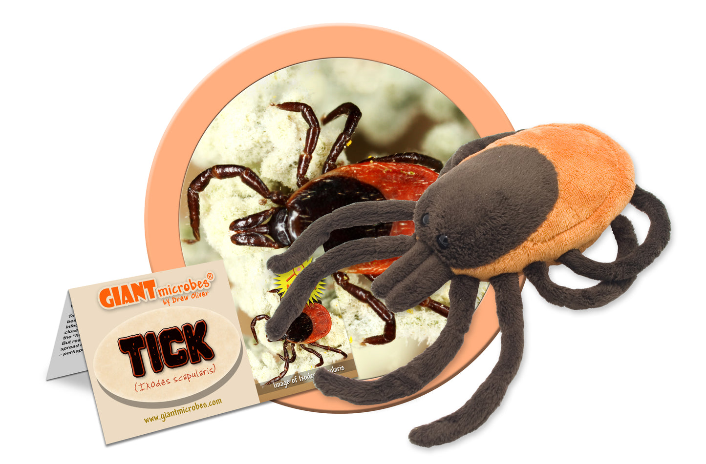 Tick