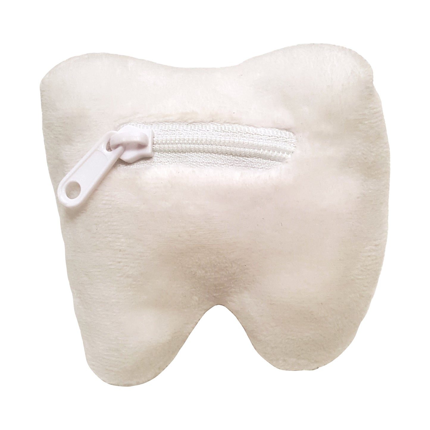 Tooth (Molar)