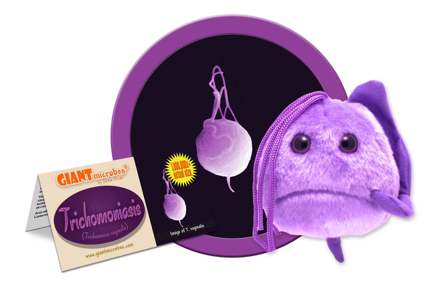 Trichomoniasis (Trichomonas Vaginalis)