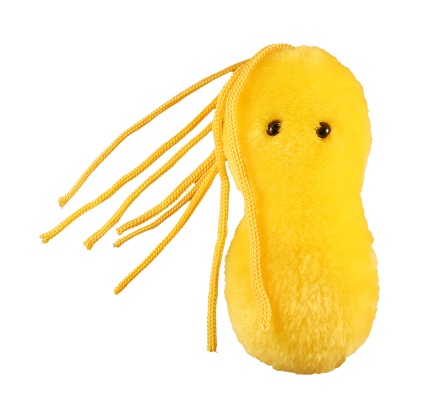 Ulcer (Helicobacter Pylori)