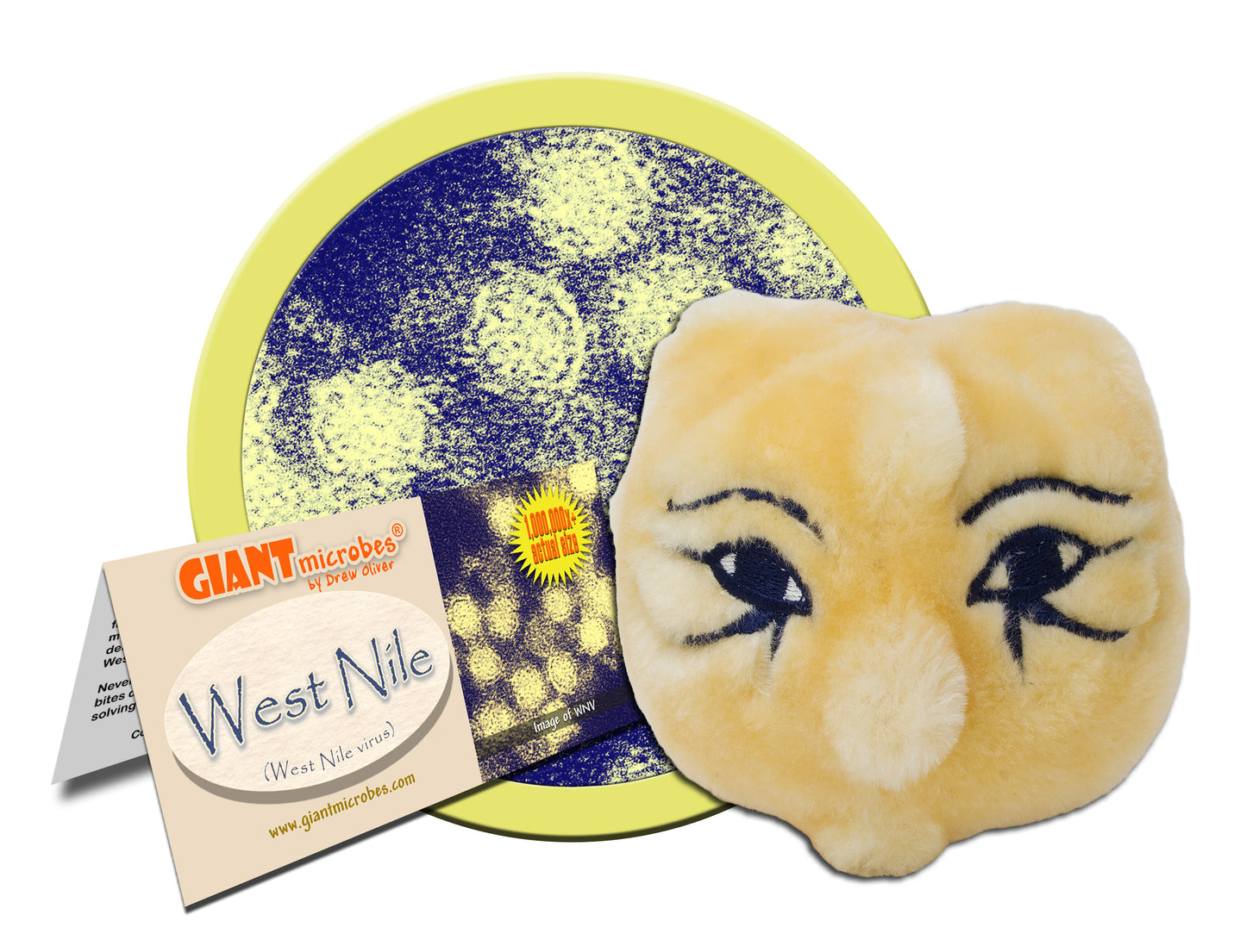 West Nile (West Nile Virus)