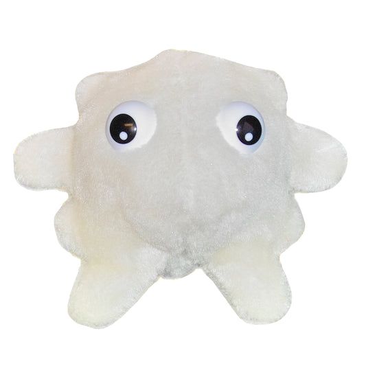 White Blood Cell (Leukocyte)