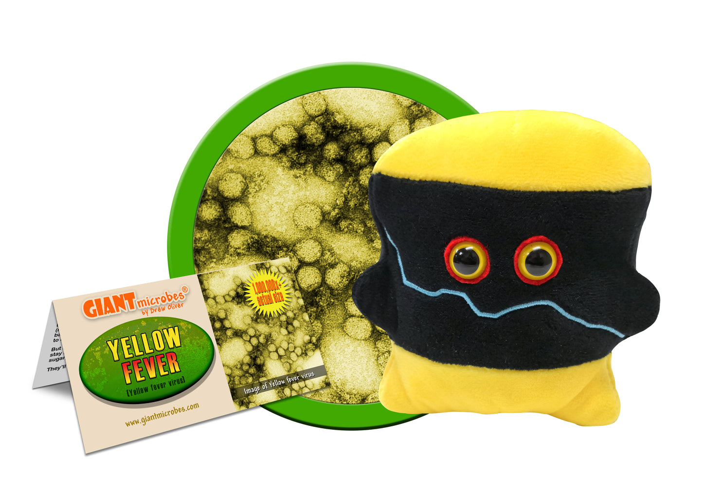 Yellow Fever (Yellow Fever Virus)