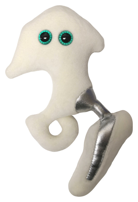 Hip Replacement
