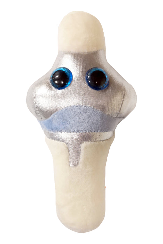 Knee Replacement