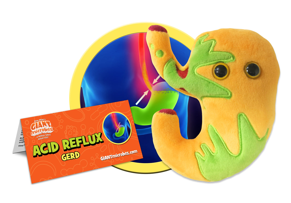 Acid Reflux
