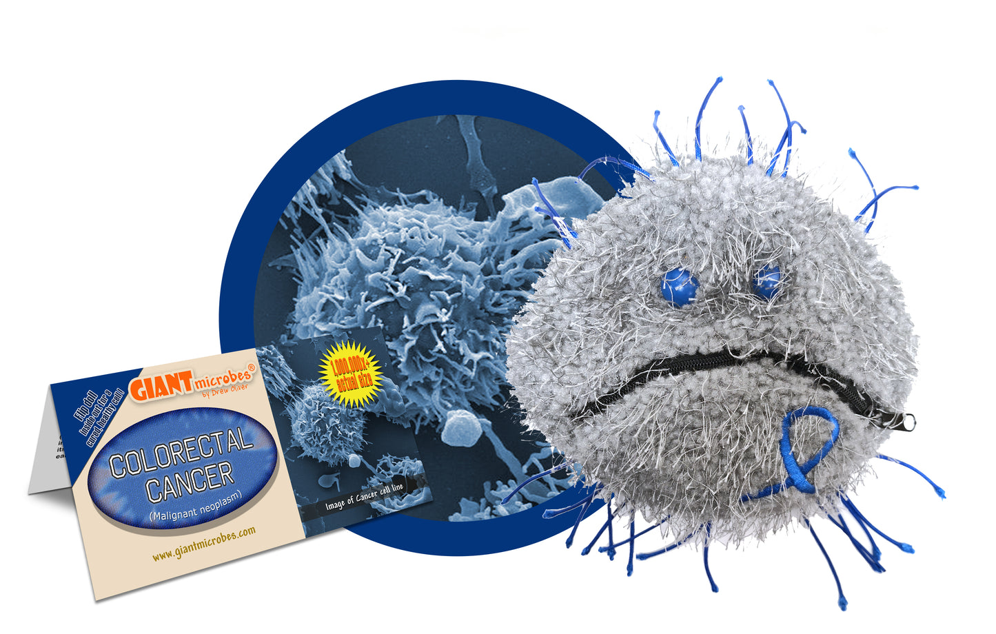 Colorectal Cancer (Malignant Neoplasm)