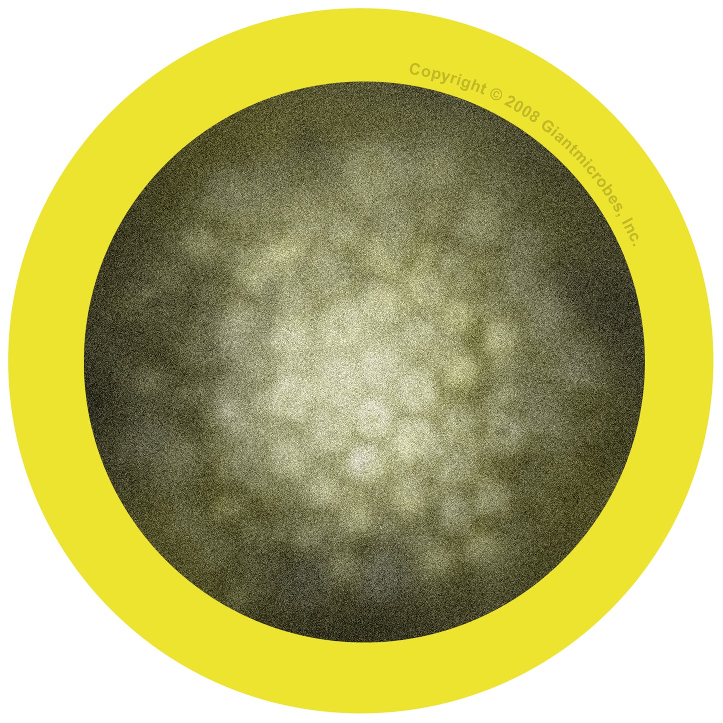 Hepatitis (Hepatitis Virus)