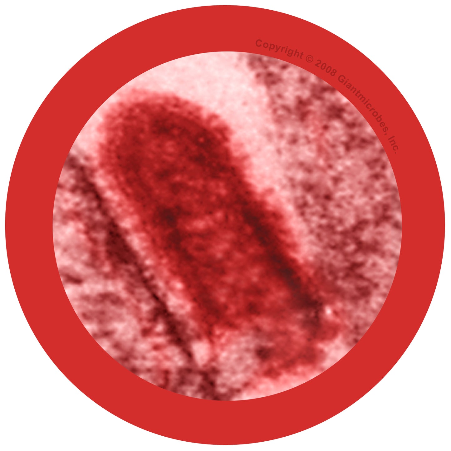 Rabies (Rabies Virus)