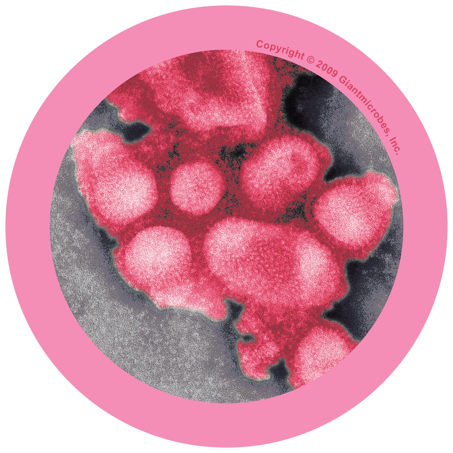 Pandemic Flu (Influenza A Virus H1N1) Swine Flu key chain