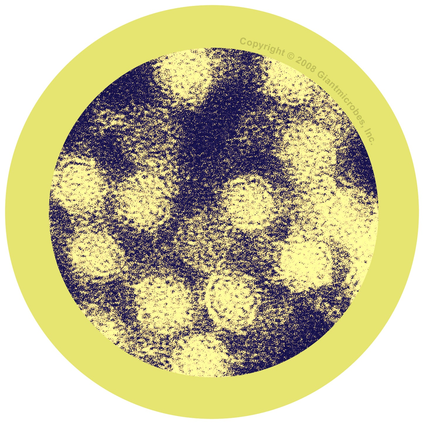 West Nile (West Nile Virus)