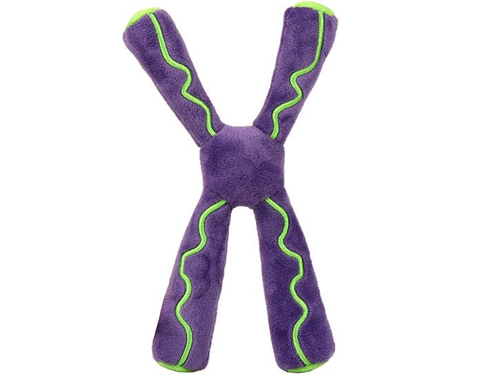 Chromosome