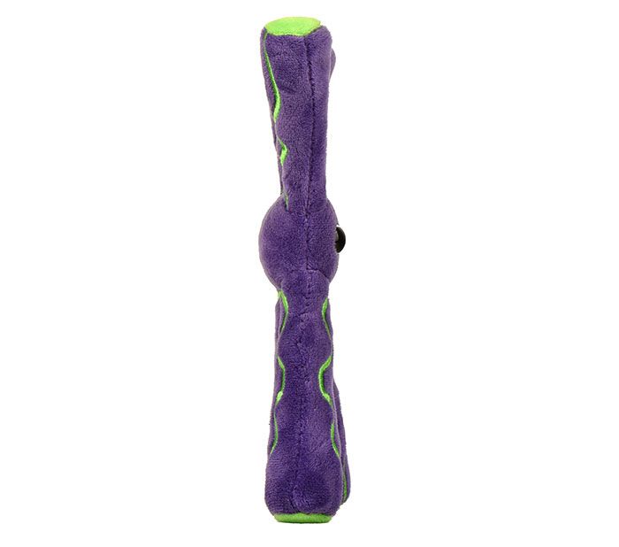 Chromosome