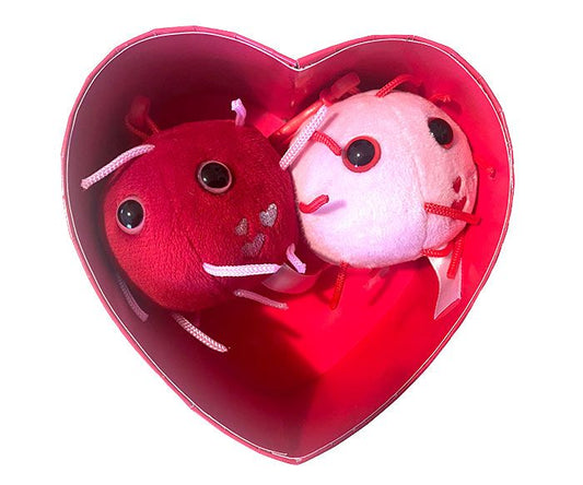 COVID With Love Heart Box