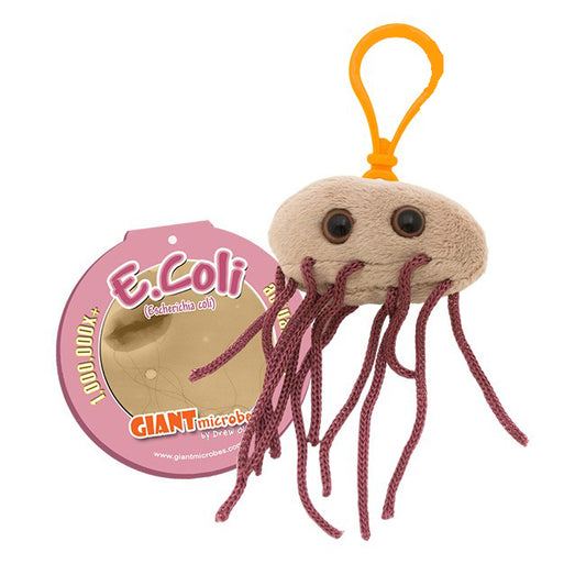 E.Coli key chain