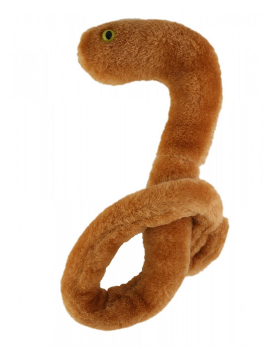Ebola (Ebola Virus)