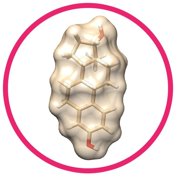 Estrogen