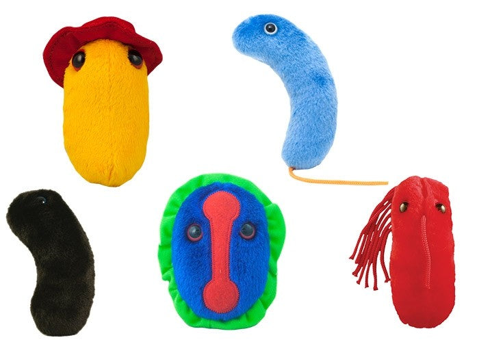 Plagues From History Gift Box
