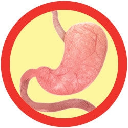 Stomach Ache (Shigella)