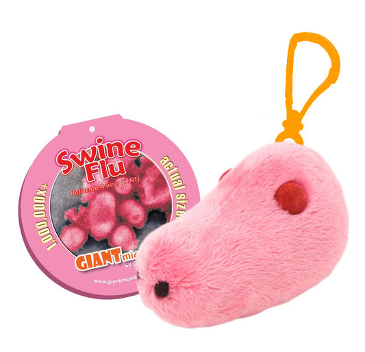 Pandemic Flu (Influenza A Virus H1N1) Swine Flu key chain