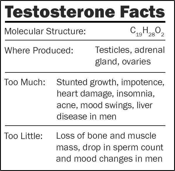 Testosterone