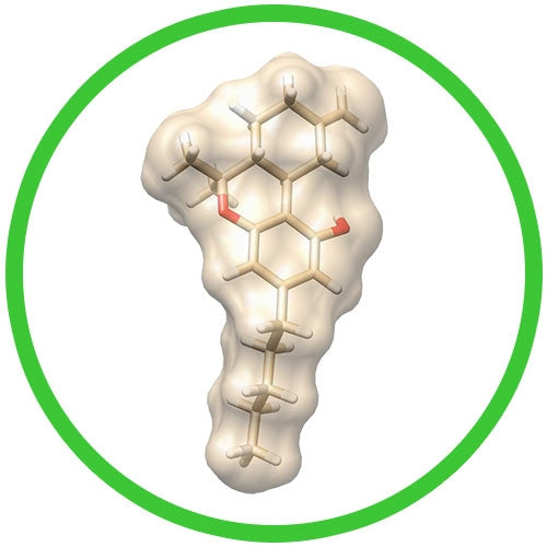 THC (Tetrahydrocannabinol)