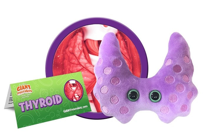 Thryoid