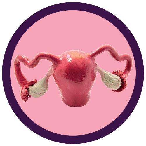 Uterus key chain
